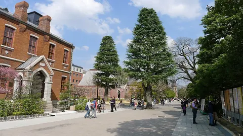 同志社大学 今出川キャンパス