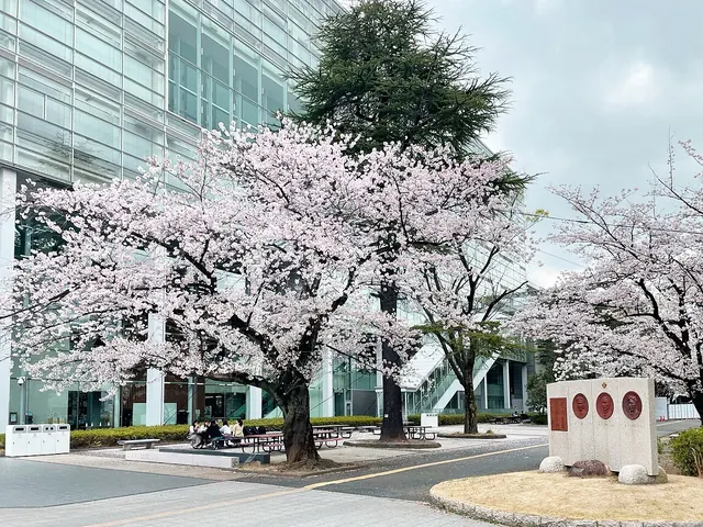 明治大学 和泉キャンパス
