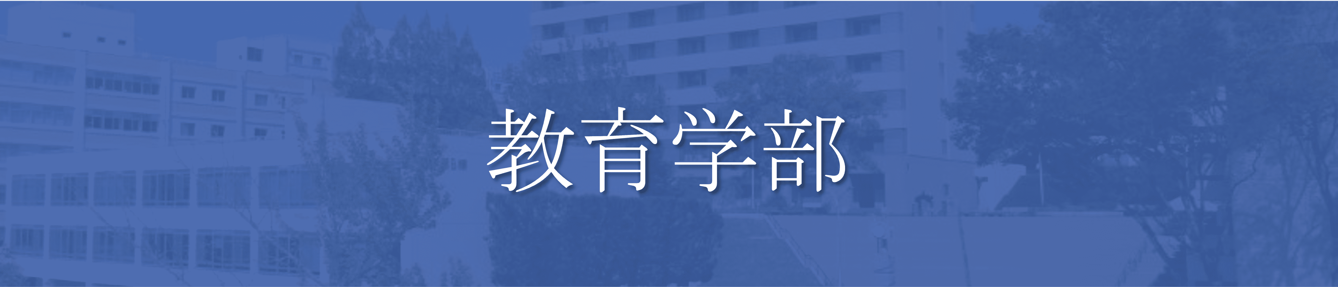 教育学部　穴場学部