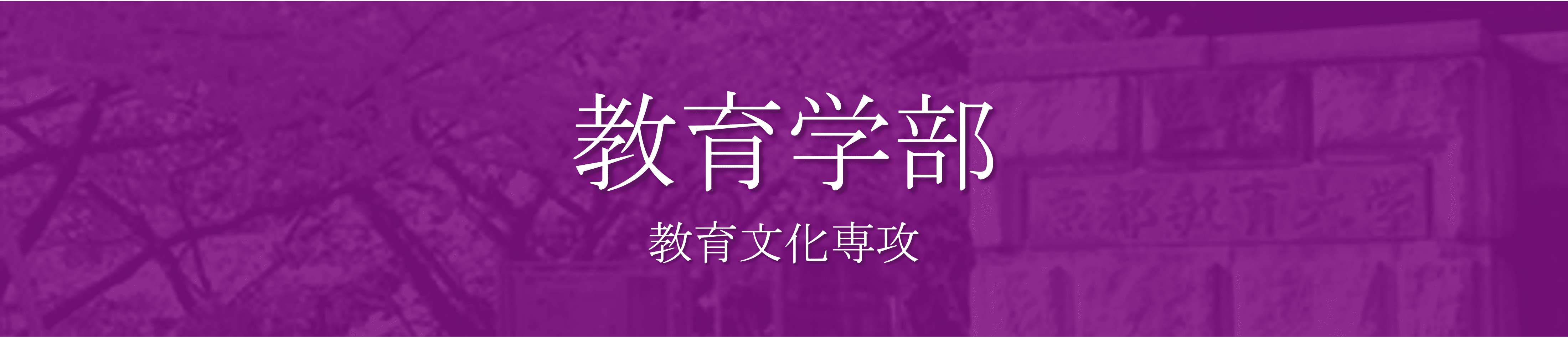 教育学部 穴場学部