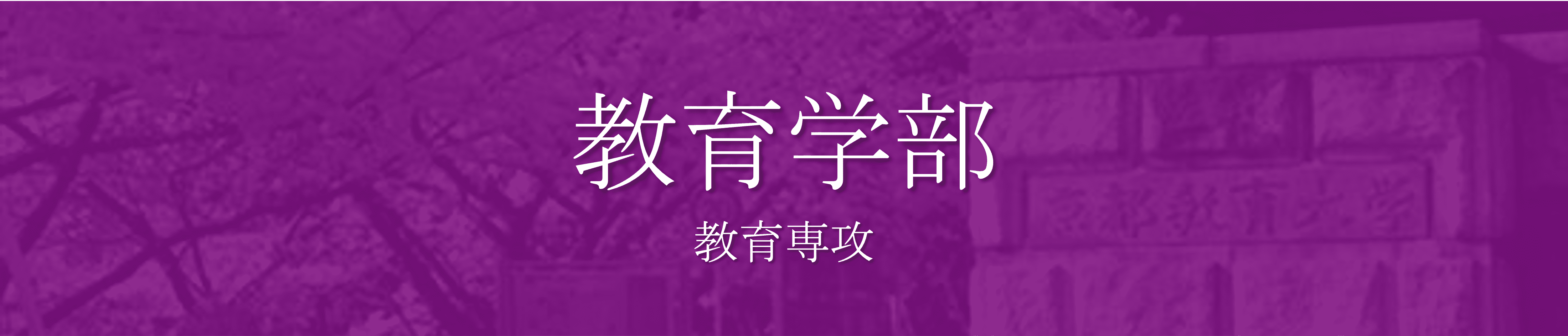 教育学部　穴場学部