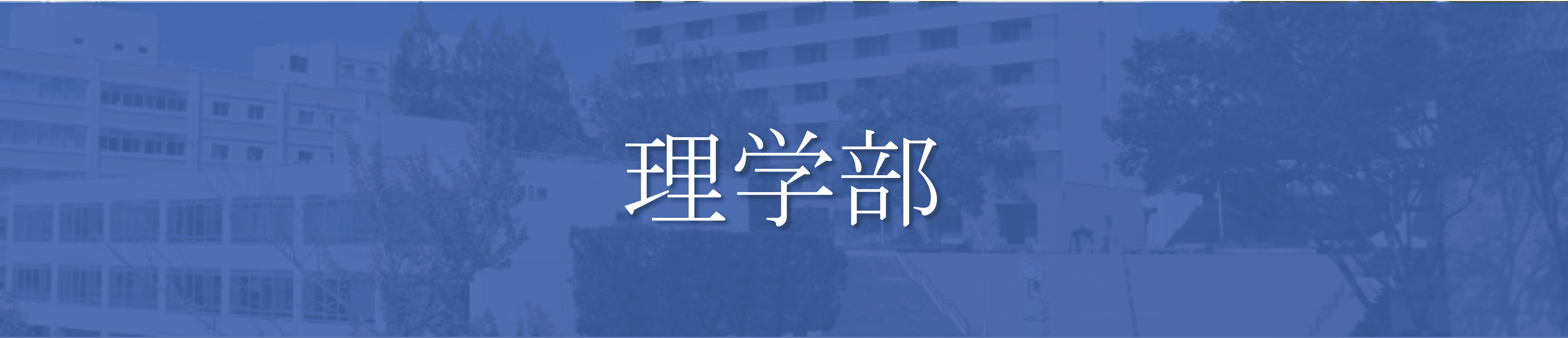 理学部　穴場学部