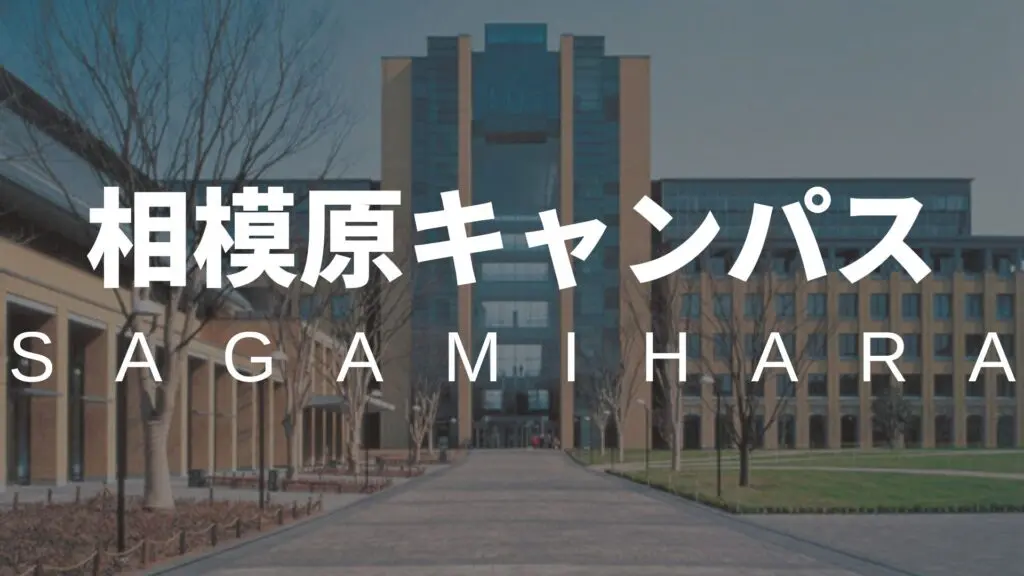 青山学院大学 国際政治経済学部を徹底解説！入試問題の分析/受かるための勉強法５選まで大公開！【2024年最新版】 |  【公式】鬼管理専門塾｜スパルタ指導で鬼管理