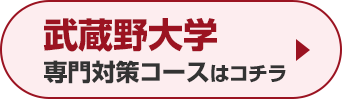 武蔵野大学専門対策コースはこちら