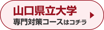 山口県立大学専門対策コースはこちら