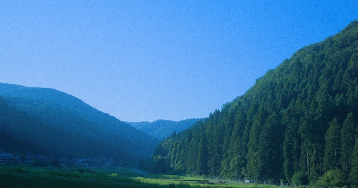人物のいない緑の山間風景で阿波西高校の3コース・少人数学習・令和9年度選抜を考えるイメージ