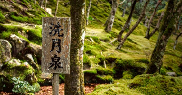 人物のいない緑豊かな日本の風景、備前緑陽高校の2027年度入試と総合学科4系列を解説する横長サムネイル