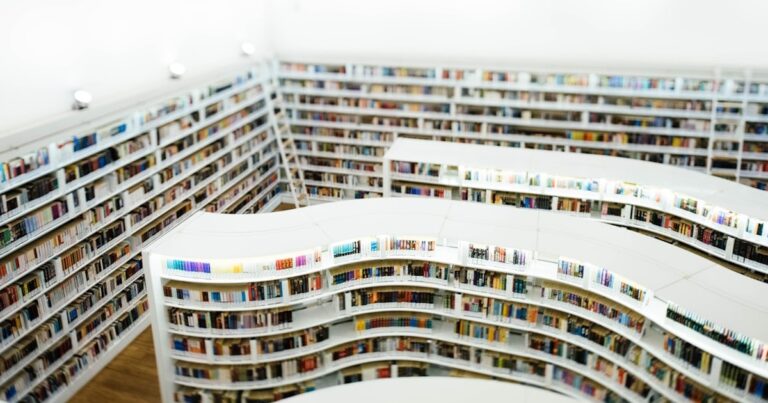 人物のいない明るい曲線書架の図書空間を背景に、ドルトン東京学園高等部の探究と転編入準備を考えるイメージ