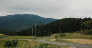 人物のいない田園風景を背景に、鉾田第一高校の単位制と2027年度入試を考える記事サムネイル