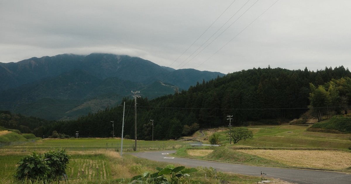 人物のいない田園風景を背景に、鉾田第一高校の単位制と2027年度入試を考える記事サムネイル