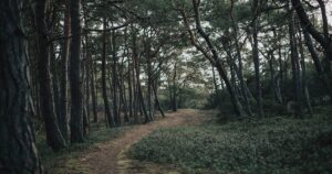 人物のいない緑豊かな風景と進路を思わせる道、倉敷翠松高校の4学科と2027年度入試を解説する横長サムネイル