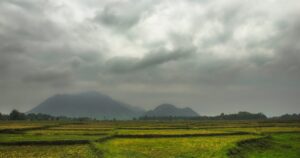 人物のいない緑の農地と山並みを写した横長写真、倉吉農業高校の3学科・祥雲寮・2027年度入試を解説する記事のサムネイル