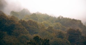 人物のいない霧に包まれた緑豊かな丘陵風景、岡山白陵高校の2027年度入試と高校3カ年コースを解説する横長サムネイル
