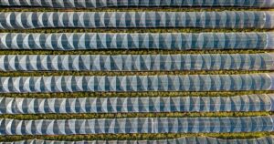 人物のいない農地と産業設備・篠山産業高校の4学科と2027年度入試を解説する記事サムネイル