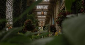 人物のいない温室内の緑豊かな植物とガラス屋根を写した横長写真、鳥取湖陵高校の4募集学科と2027年度入試を解説する記事のサムネイル
