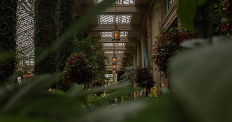 人物のいない温室内の緑豊かな植物とガラス屋根を写した横長写真、鳥取湖陵高校の4募集学科と2027年度入試を解説する記事のサムネイル