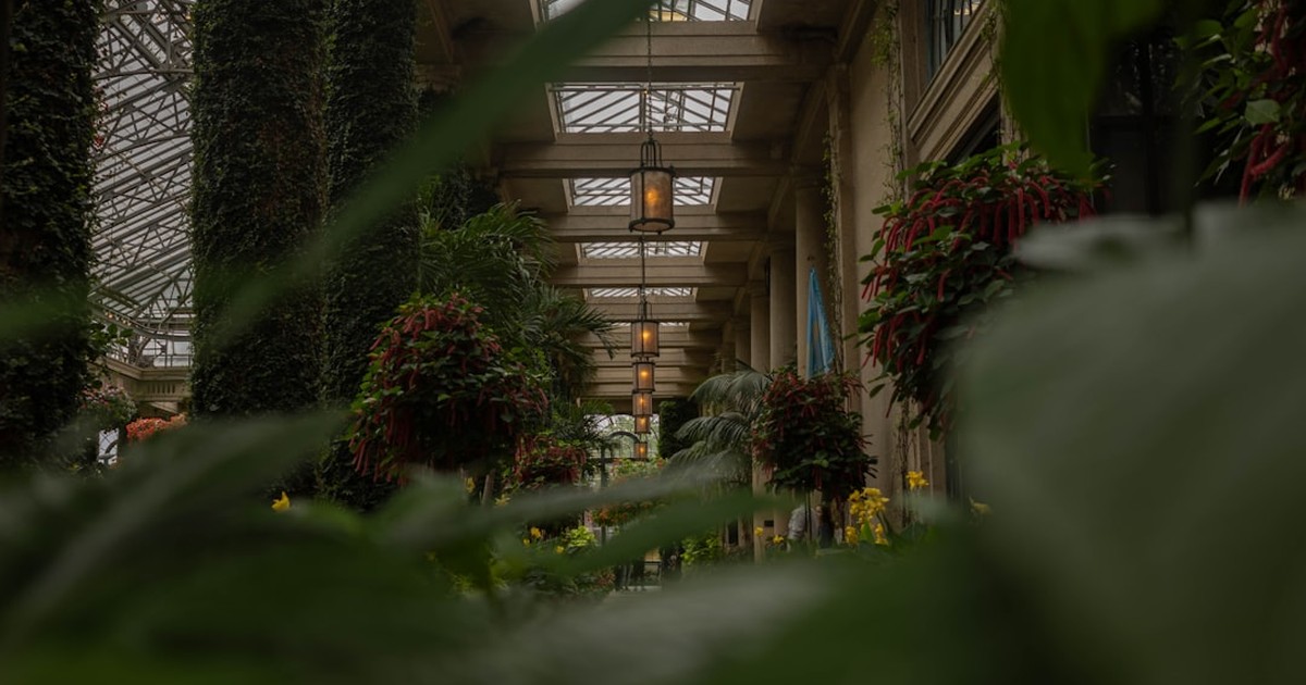 人物のいない温室内の緑豊かな植物とガラス屋根を写した横長写真、鳥取湖陵高校の4募集学科と2027年度入試を解説する記事のサムネイル