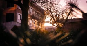 人物のいない明るい学校建築と緑を写した横長写真。大和青藍高校の4学科、専門資格、2027年度入試を解説する記事のサムネイル