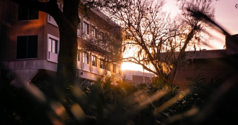 人物のいない明るい学校建築と緑を写した横長写真。大和青藍高校の4学科、専門資格、2027年度入試を解説する記事のサムネイル