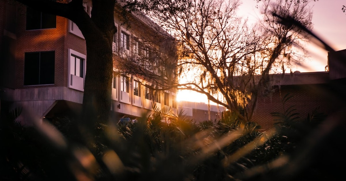 人物のいない明るい学校建築と緑を写した横長写真。大和青藍高校の4学科、専門資格、2027年度入試を解説する記事のサムネイル